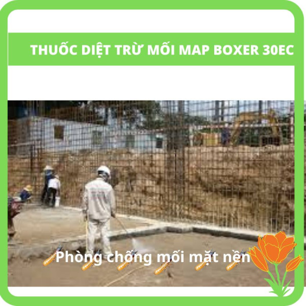 Thuốc Mapboxer Phun phòng chống mối nền Thuốc Mapboxer Phun phòng chống mối nền