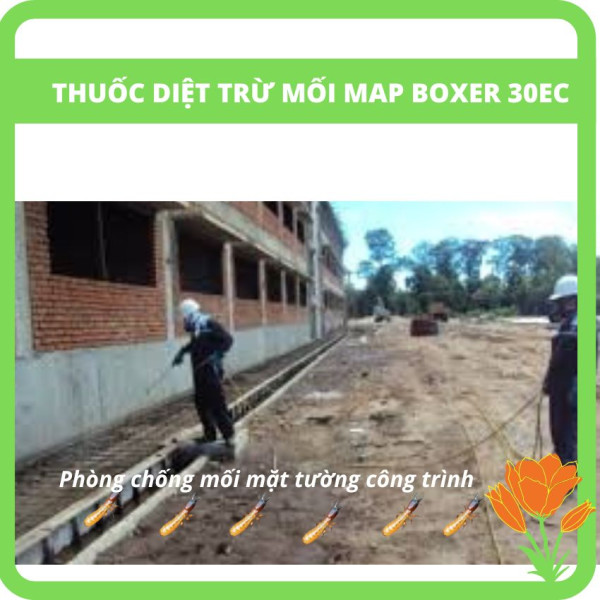 Thuốc Mapboxer Phun phòng chống mối tường Thuốc Mapboxer Phun phòng chống mối tường