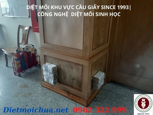 Dịch vụ diệt mối Cầu Giấy tận gốc công nghệ diệt mối sinh học