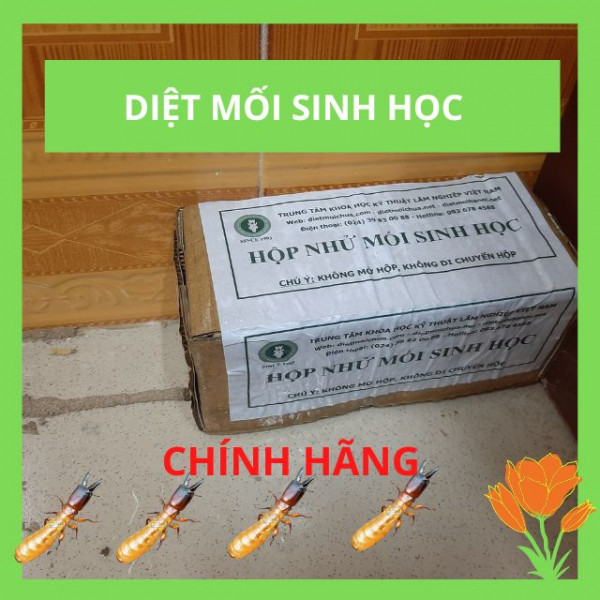 Diệt Mối Tận Gốc Công Nghệ Diệt Mối Sinh Học