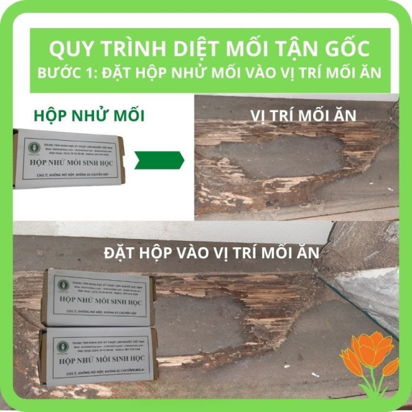 Thuốc diệt mối tận gốc PMC90DP chính hãng công nghệ sinh học