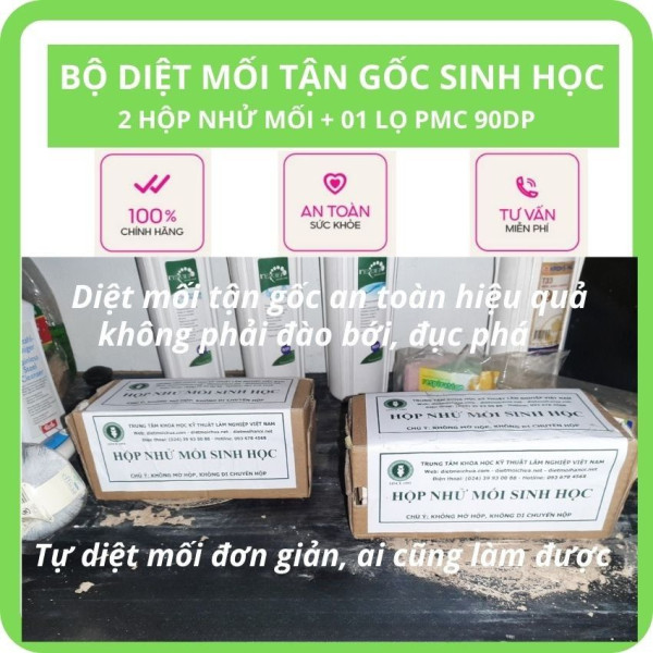 Thuốc diệt mối tận gốc PMC90DP chính hãng công nghệ sinh học
